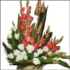 Gorgeous Beauty - Click here to View more details about this Product